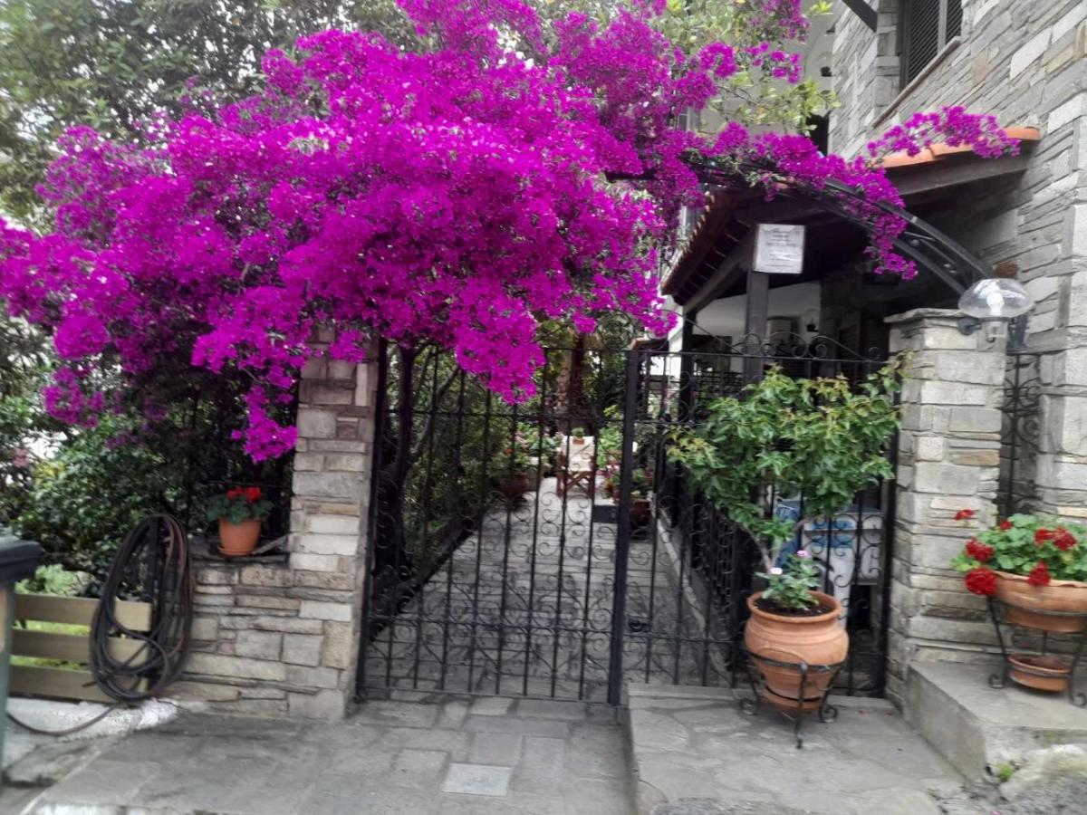 Papatzikos Traditional Guesthouse Неос Мармарас Екстериор снимка