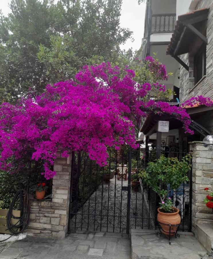 Papatzikos Traditional Guesthouse Неос Мармарас Екстериор снимка